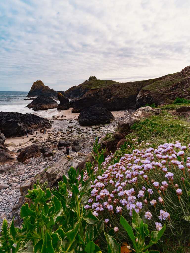 Kynance Cove